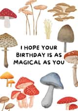 Mushroom Birthday Card - I Hope Your Birthday Is As Magical As You, Cute, Simple created by WittyGoodsShop