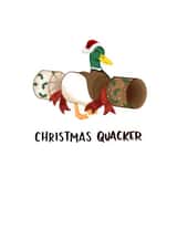 Funny Christmas Pun Card - Christmas Quacker created by Pippa Grace Design