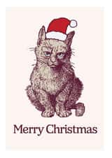 Grumpy Cat Christmas Hat card created by Matt Windsor