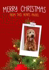 Personalised Christmas Photo Card created by A few wise words - Cute Christmas Photo Card - From the Dog - Polaroid