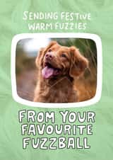 Personalised Christmas Photo Card created by Angela Chick - Cute Christmas Photo Card - From your favourite fuzzball