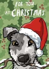 Christmas Terrier created by Sunny and Pea