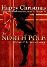 Happy Christmas from all the girls at the NORTH POLE pole dancing venue created by @SwearingKids