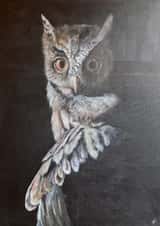 Beautiful painting for a wise owl created by Sally Taylor
