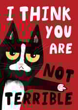 Funny Grumpy Cat - Valentine's Day Card created by AbiGoLucky