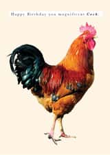 Happy Birthday you magnificent Cock. A birthday card featuring a cock/cockerel. created by Hello Munki