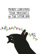 Merry Christmas from the cat - Funny Xmas card for cat owners created by Paper Edges