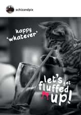 Funny cat themed multi-purpose card for any occasion. Let's get fluffed up created by Paul O'Connor
