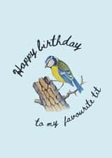 Cheeky Blue Tit Birthday Card - Happy birthday to my favourite tit created by Hhaus Of Phoebe