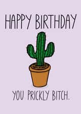Cute Birthday Card - you prickly b*tch! created by Emily Buchanan