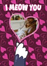 Personalised Valentines Day Photo Card created by ShortRound888 - Cute Valentines Card - From the Cat - I Meow You