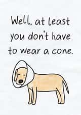 Funny Get Well Soon Card - Get Better Soon - Dog With A Cone created by Silly Billy