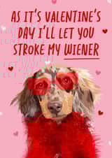 Funny Valentine’s Day Card - Stroke my Wiener created by The Girl Next Draw Cards
