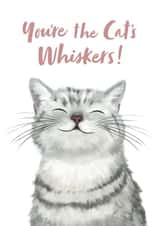 Cute Illustrated Cat Card - Thank You, Birthday created by Debbie Daley Illustrations