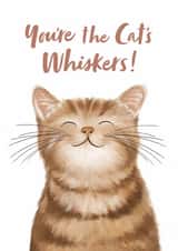 Cute Illustrated Cat Card - Thank You, Birthday created by Debbie Daley Illustrations