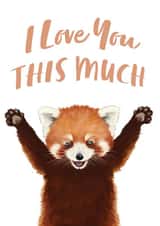 Cute Red Panda Card for Significant Other - I Love You THIS MUCH created by Debbie Daley Illustrations