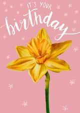 Daffodil Birthday Card - It’s your birthday created by Olivia Moore