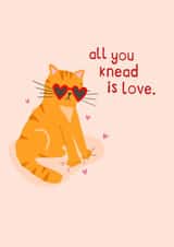 Cute Valentines Card - Cat Making Biscuits - all you knead is love pun created by Zoe Spry