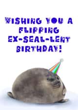 Funny Seal Birthday Card - Chonky Seal - Happy Birthday created by rcdesigns