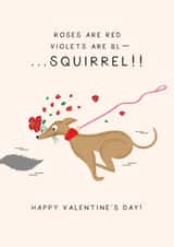 Funny Valentine's Day Card - From the Dog - Squirrel! created by Studio Mads