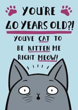 Funny Cat Pun Birthday Card - 40th created by Jimmy Doodle