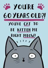 Funny Cat Pun Birthday Card - 60th created by Jimmy Doodle