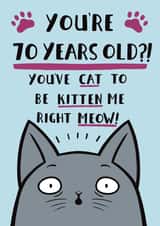Funny Cat Pun Birthday Card -  70th created by Jimmy Doodle