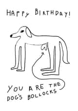 Funny Birthday Card for Him - Happy birthday! You are ‘The Dog’s Bollocks.’ created by Well'ard Cards