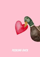 Funny Valentine's Day/Anniversary/love Card - Peeking Duck created by The Marmalade Cat