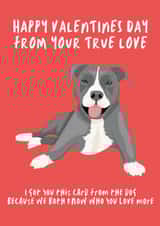 Cute Valentines Day Card - From the Dog created by Kick & Sniff