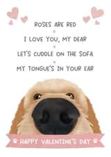 Cute Valentine's Day card - from the dog created by The Merry Giraffe
