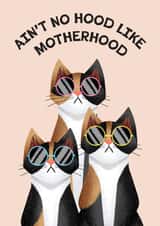 Funny Mother's Day Card - Cat Person - Motherhood created by Folio | Ian Owen