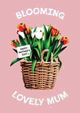 Blooming Lovely Mum - Happy Mother's Day - Tulips created by Folio | Ian Owen