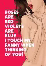 Rude Valentine /Anniversary card - For Him - Touch my Fanny created by Filthy Sentiments