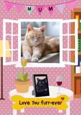 Personalised Birthday Photo Card created by Kerrylovescards - Cute Photo Card - From the Cat - Cat Mum