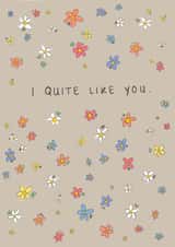 Cute and Romantic Valentines Love Card - I Quite Like You created by Sarah Symonds | Townhouse Creative