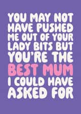 May Not Have Pushed me Out Your Lady Bits - Mother's Day Card created by Studio Doodles