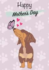 Cute Mother’s Day card - dachshund and butterfly - Sausage dog created by TheYoungBandit .