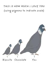 Funny card - for significant other - pigeons - love created by Not at all Jack