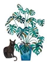 Cat with Monstera Houseplant Watercolour Art Card created by Nic Squirrell