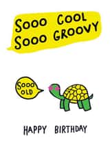 Funny birthday card - So Old - tortoise created by Earlybird