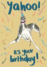 Funny dog birthday featuring a greyhound in a hat created by Harriet Lowther
