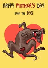 Funny Mother's Day Card - From the Dog - Balls created by Bryony Jackson Walters