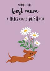 Cute Mother’s Day Card - From The Dog - Sausage Dog created by Sophie Kent Illustration