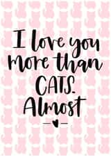 A cute valentines card from someone who loves cats too much! created by Mia Loves Letters