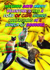 Funny Valentine's Day Card - Bananas - Cats Riding Aubergines created by OBJECTABLES