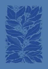 Flower Greeting Card - Mock Orange Botanical Illustration created by Banksia Creative