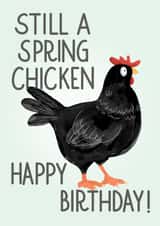 Still A Spring Chicken - Funny Birthday Card created by Paper Wishes Co