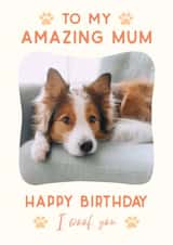 Personalised Birthday Photo Card created by @hollielonglanddesigns - Cute Birthday Photo Card - From the dog 1000