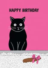 Funny Birthday card - from the Cat - Gift in the Litter Tray created by Stoats & Weasels